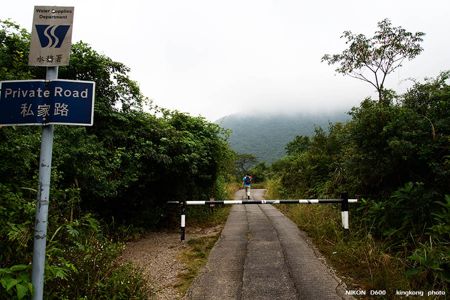 DSC_0977.jpg