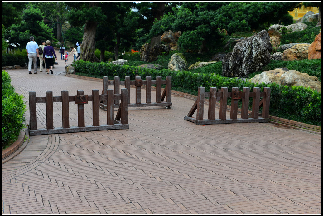 DSC_2202.jpg