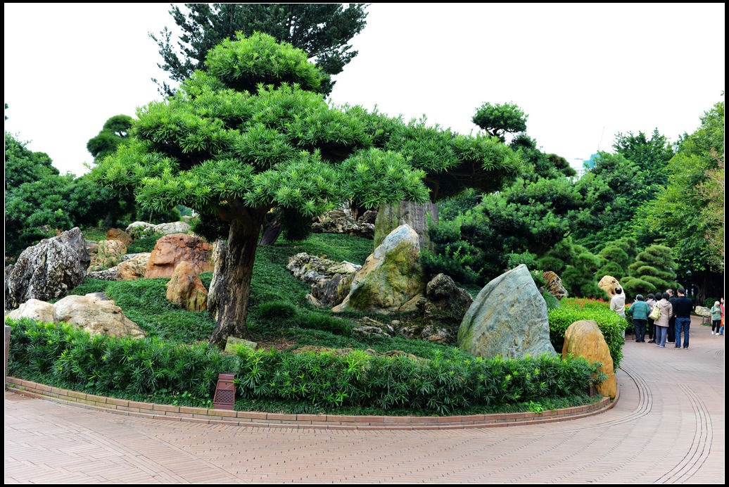 DSC_2204.jpg