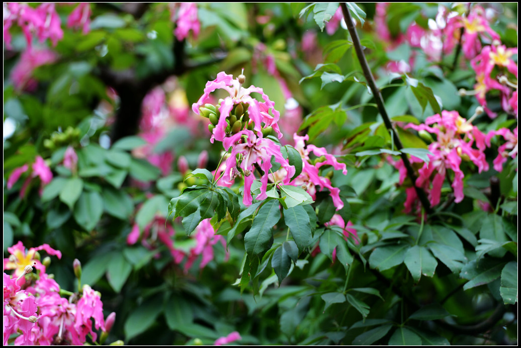 DSC_2274.jpg