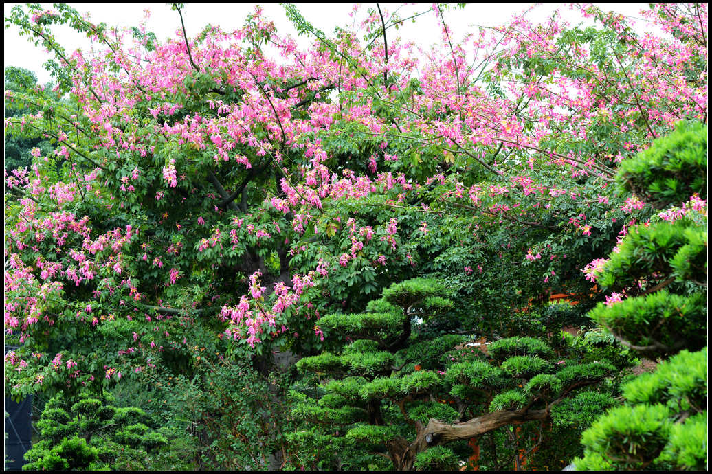 DSC_2297.jpg
