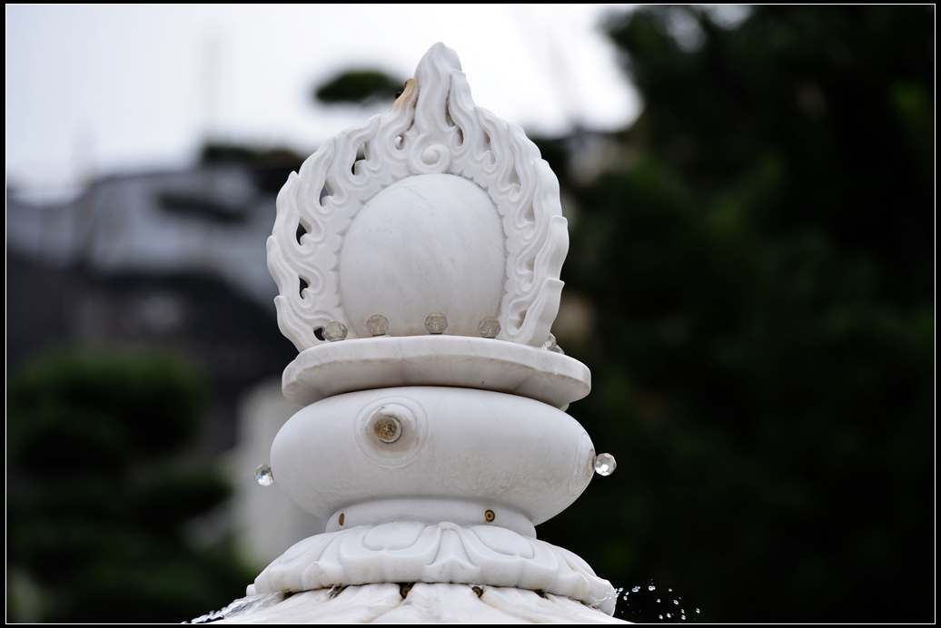 DSC_2323.jpg