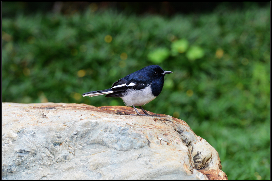 DSC_2344.jpg