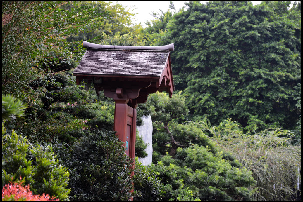 DSC_2349.jpg