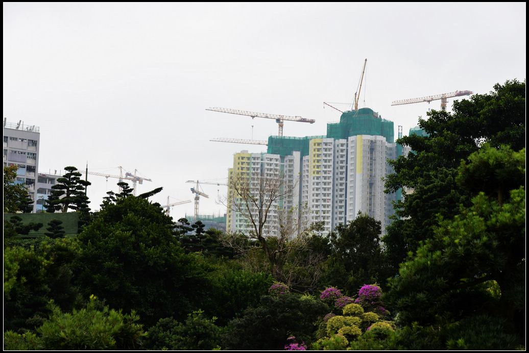 DSC_2377.jpg