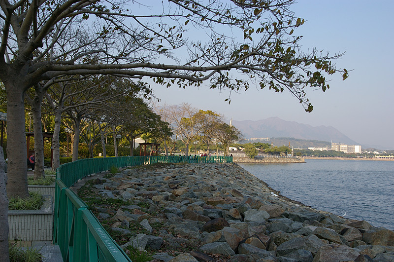 Tai Po.jpg