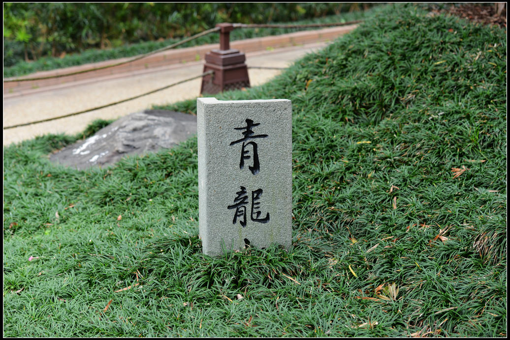 DSC_2283R.jpg