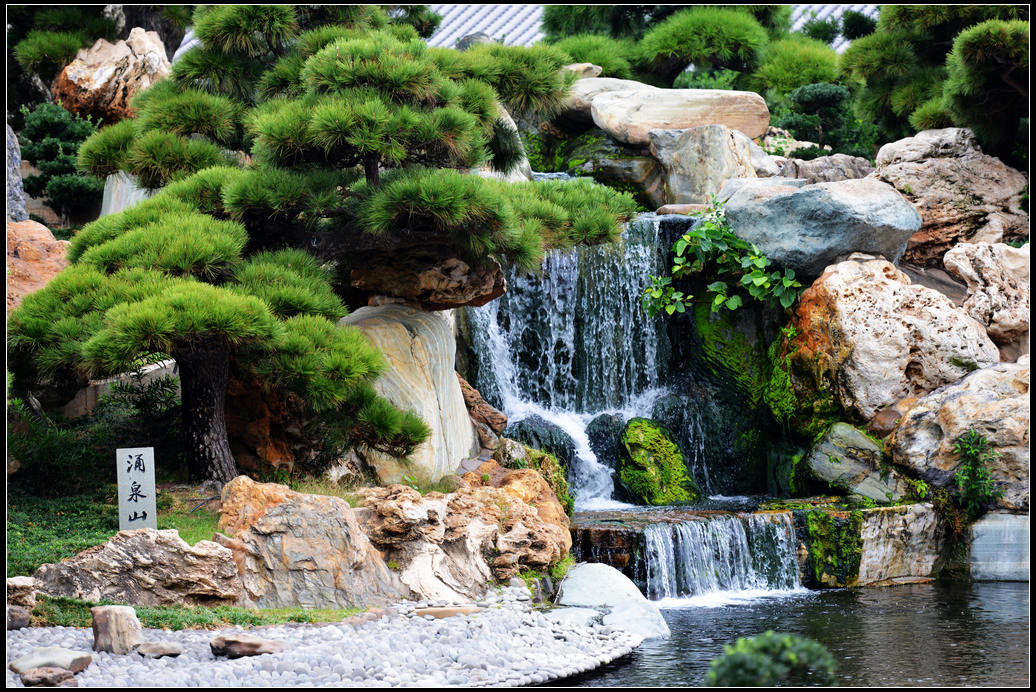 DSC_2218R.jpg
