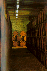 12.gif