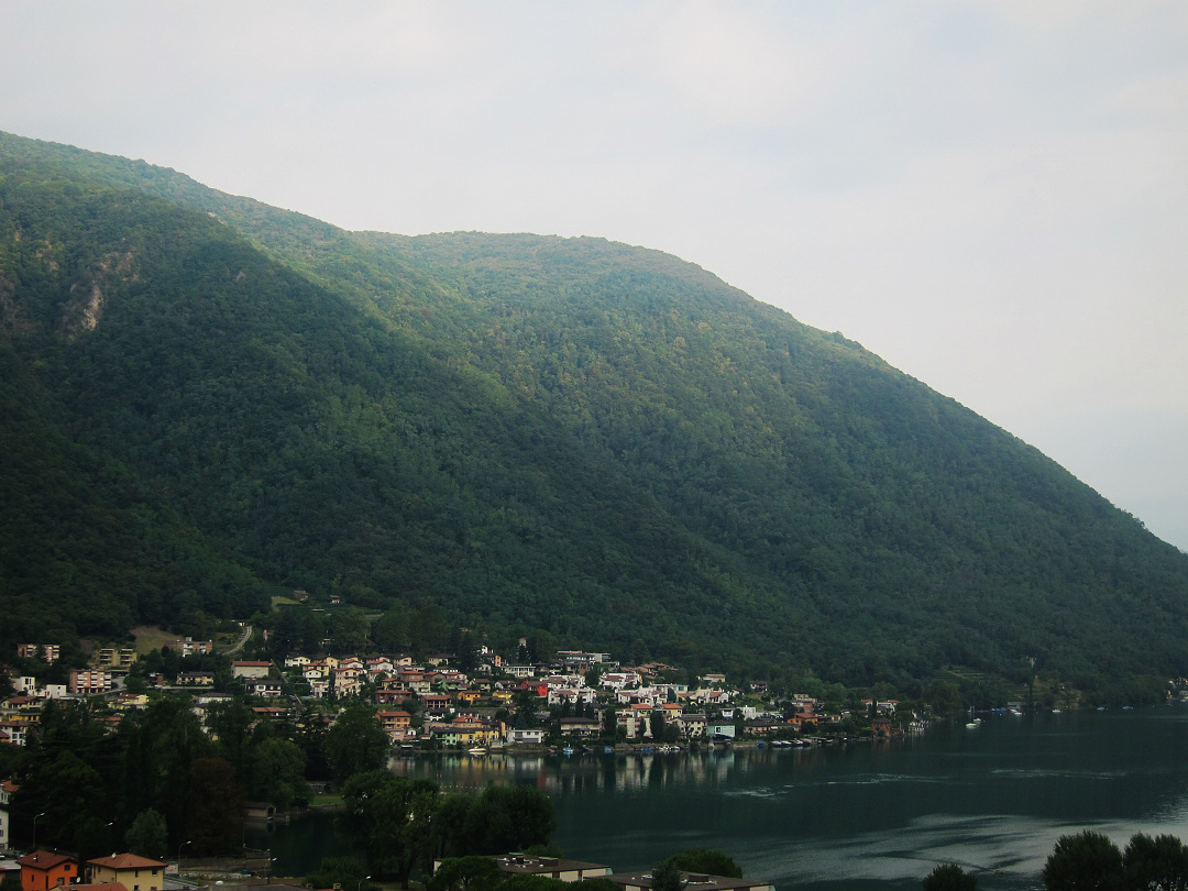 IMG_8659.jpg