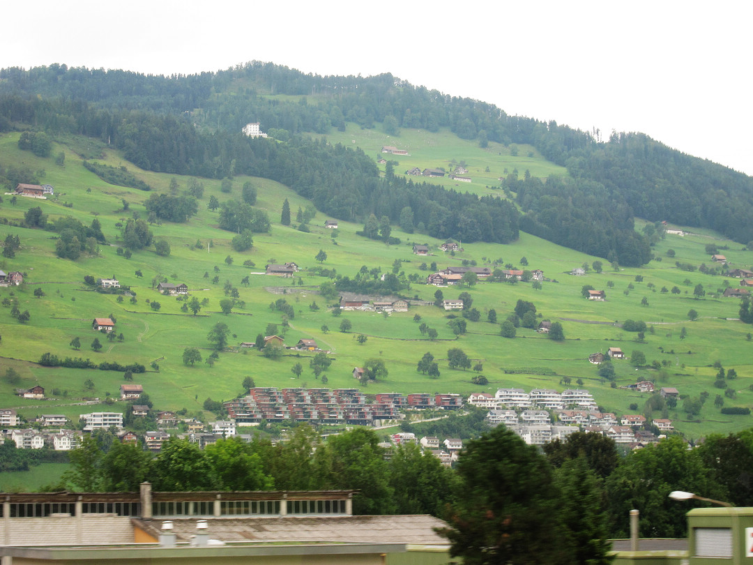 IMG_8677.jpg