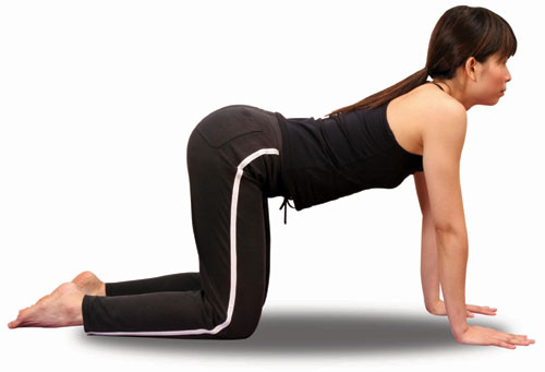 精典瑜伽 猫式塑美背4.jpg