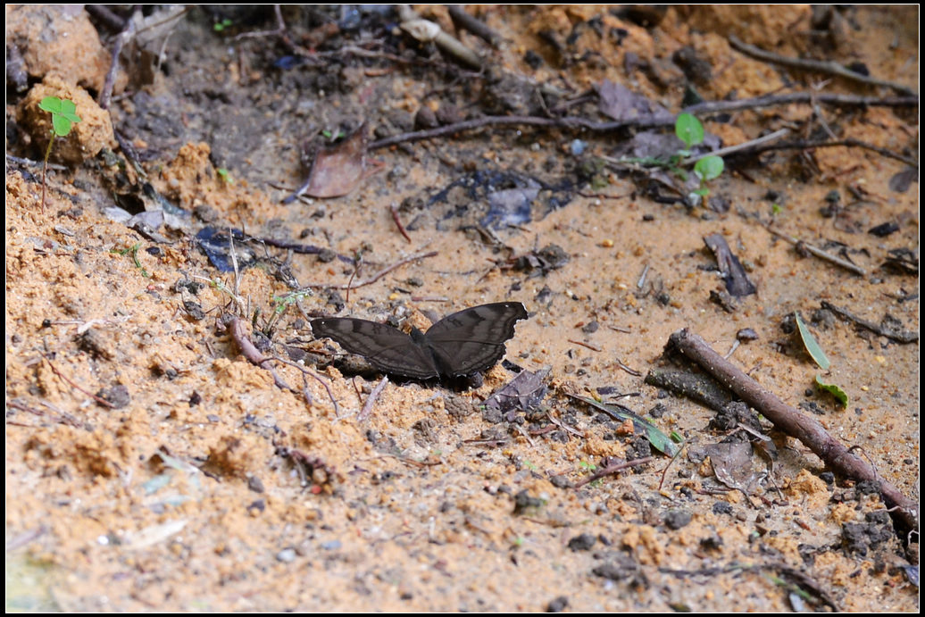 DSC_2054.jpg