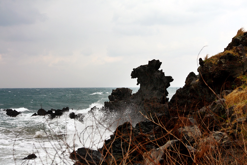 IMG_7906.JPG