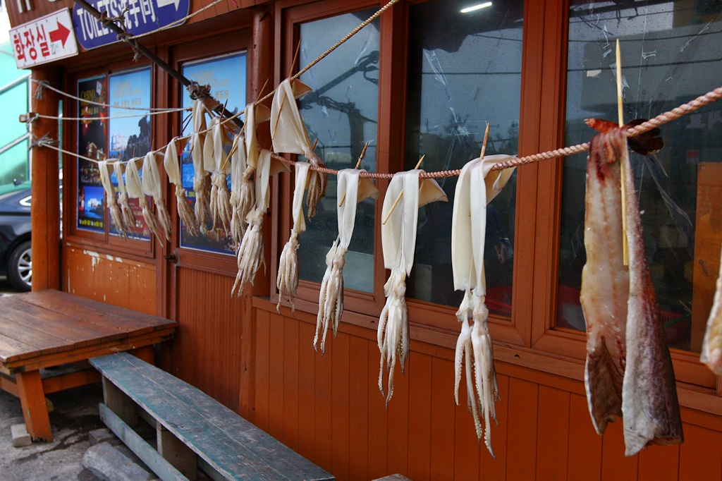 IMG_7897.JPG