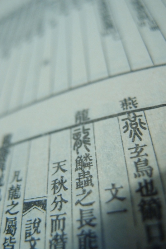 PC021268 [800x600].jpg