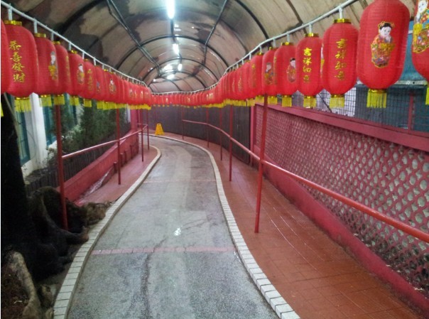 未命名11.jpg