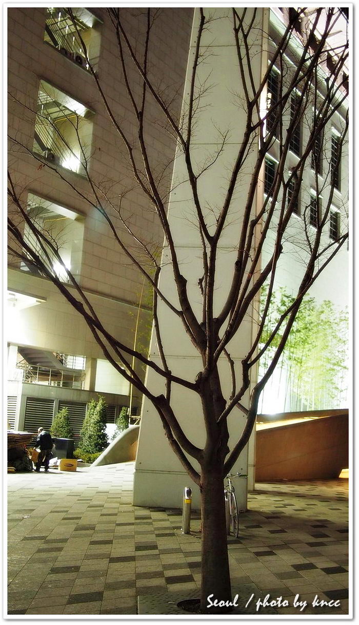 PB271112.JPG