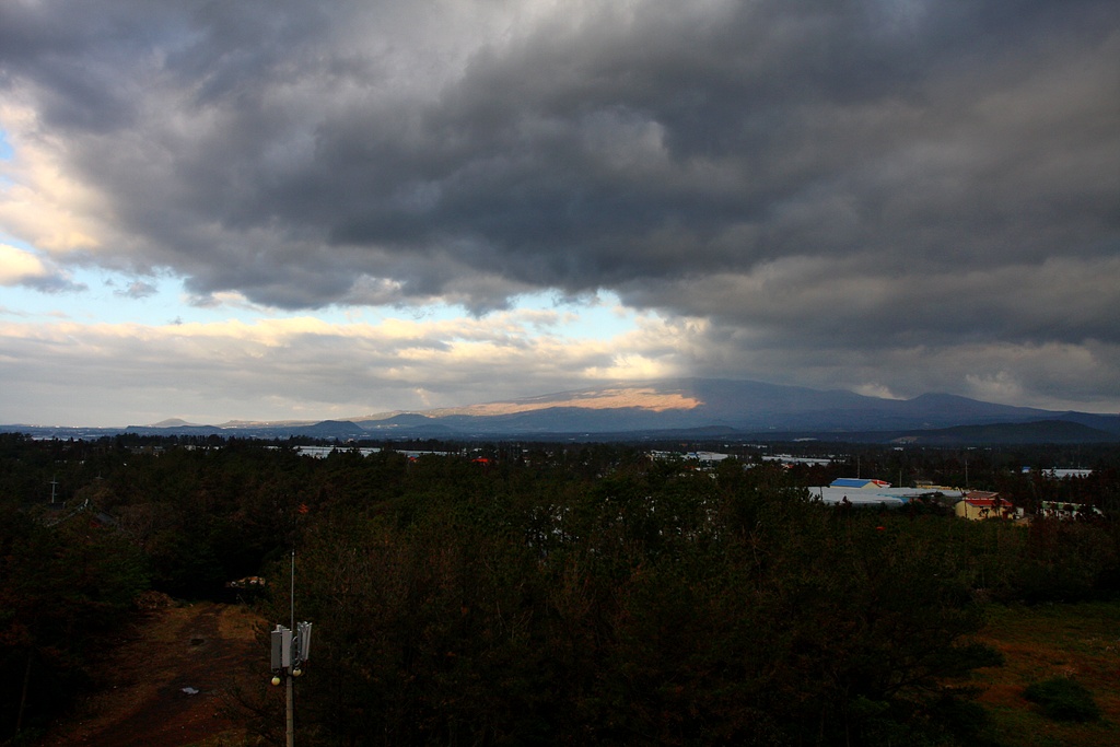IMG_7981.JPG