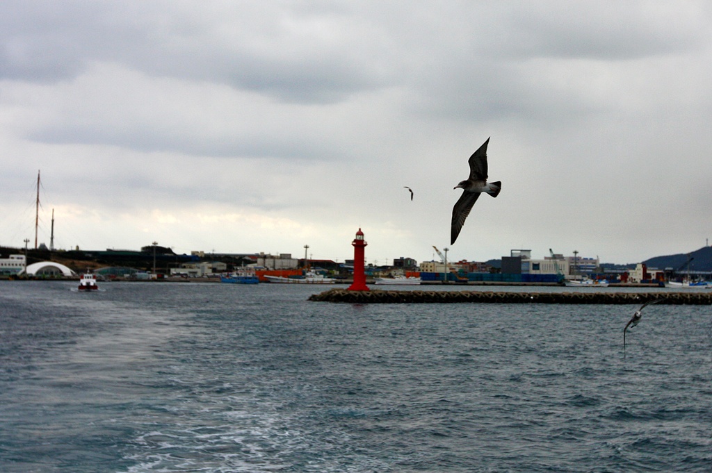 IMG_8051.JPG