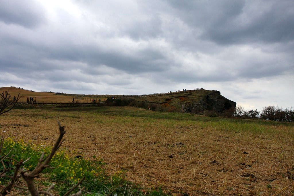 IMG_8115.JPG