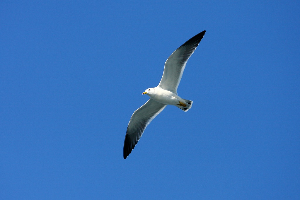 IMG_8302.JPG