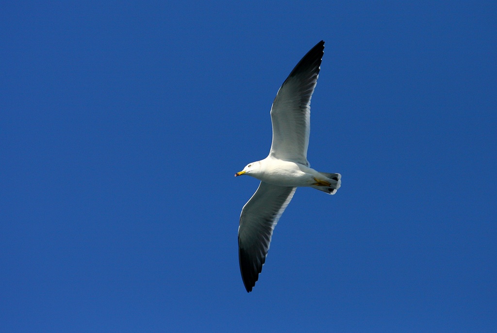 IMG_8304.JPG