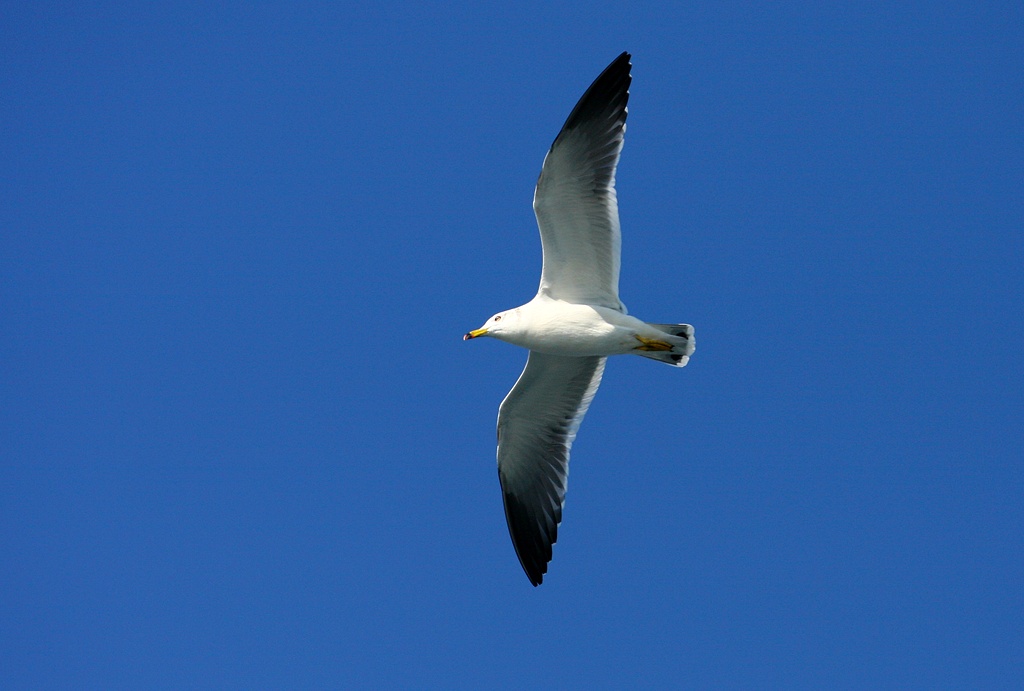 IMG_8305.JPG