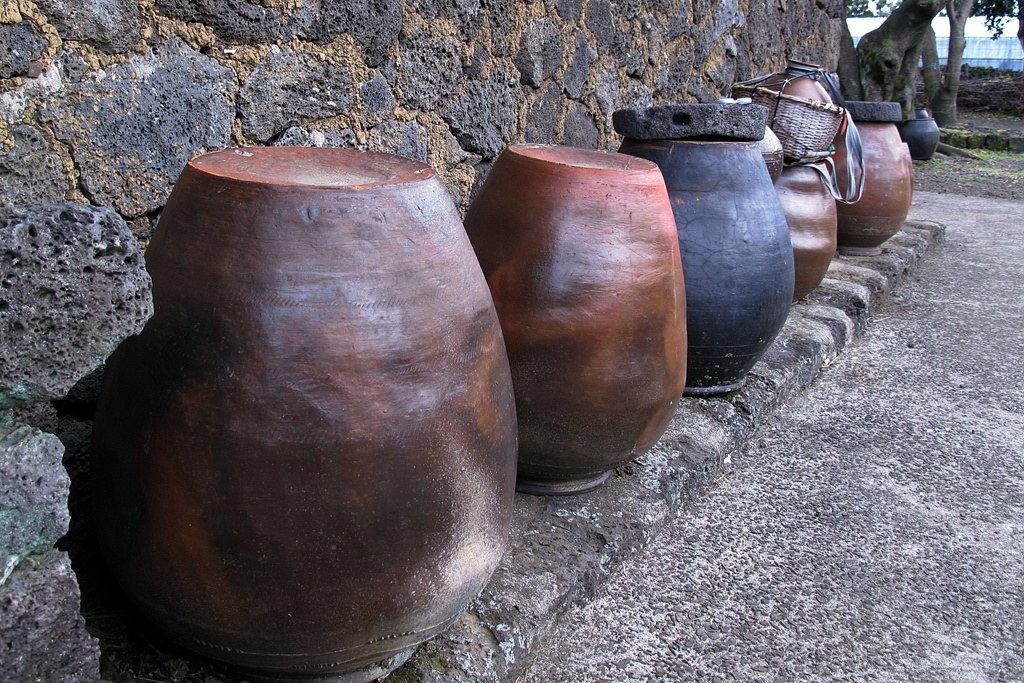 IMG_2805.JPG