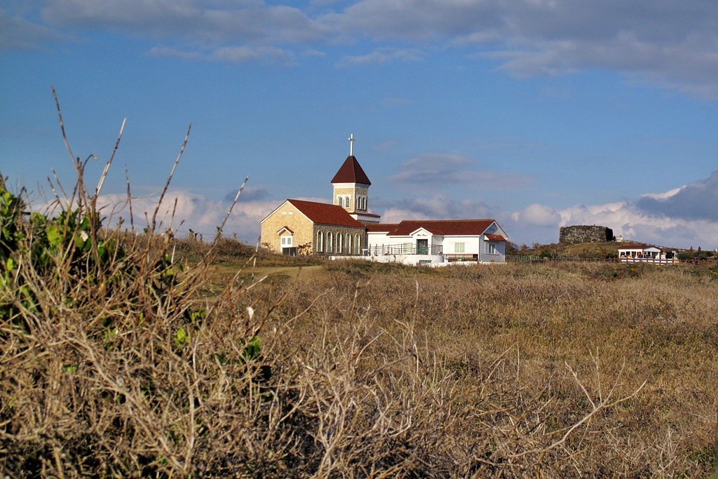 IMG_2823.JPG
