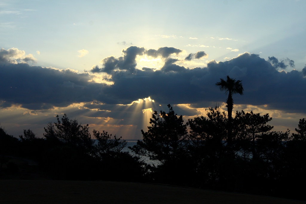 IMG_8372.JPG