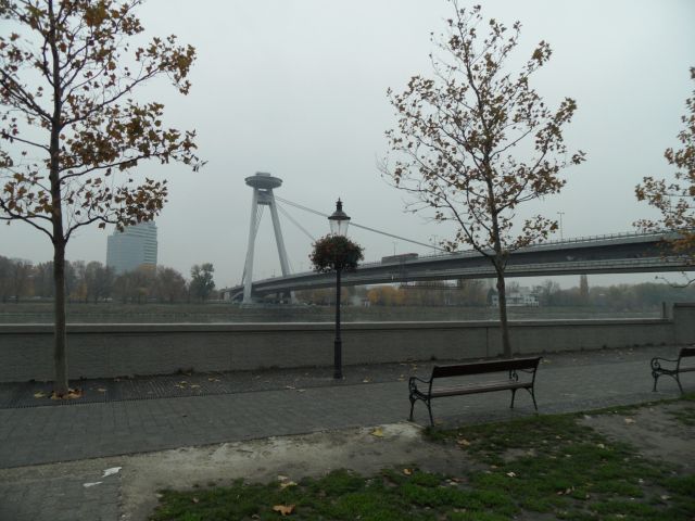 SAM_0156.JPG