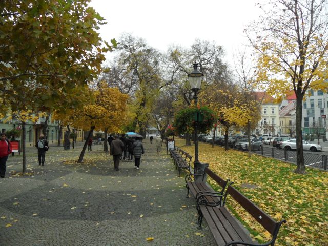 SAM_0164.JPG