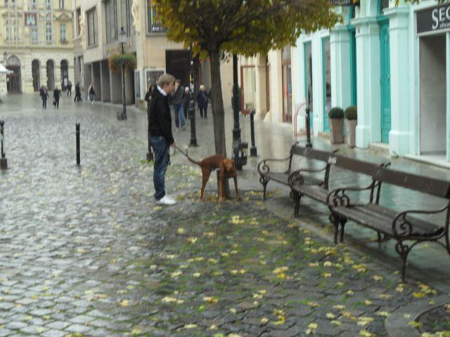 SAM_0220.JPG