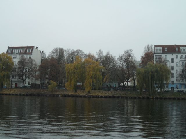 SAM_0997.JPG
