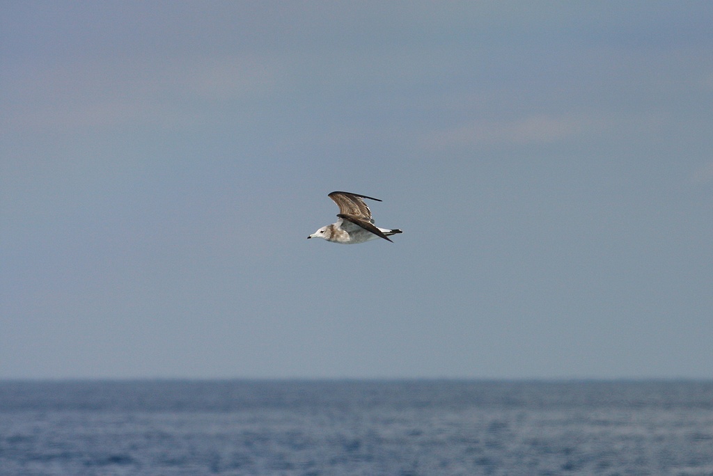 IMG_8279.JPG