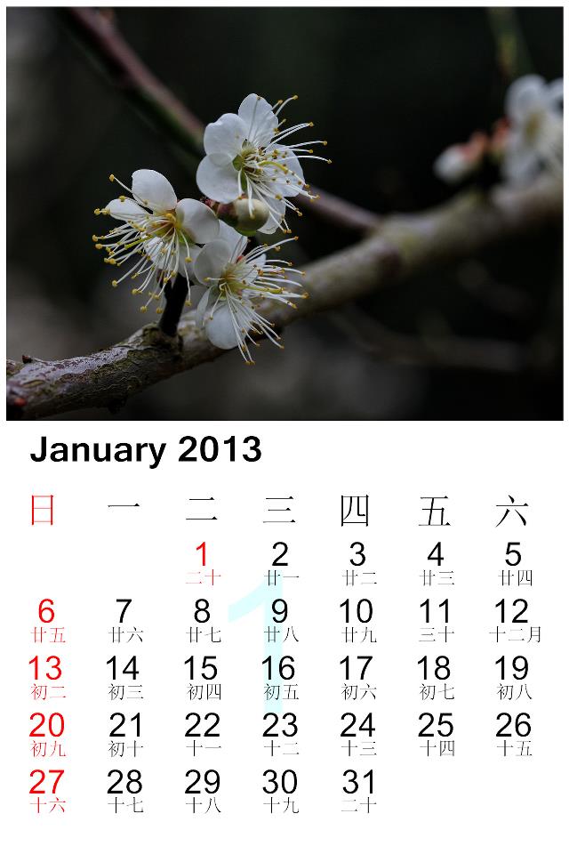 January.jpg
