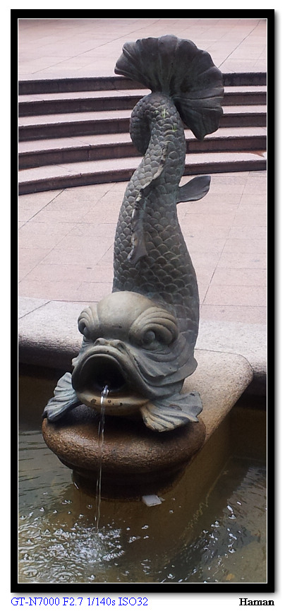 20121208_122911.jpg