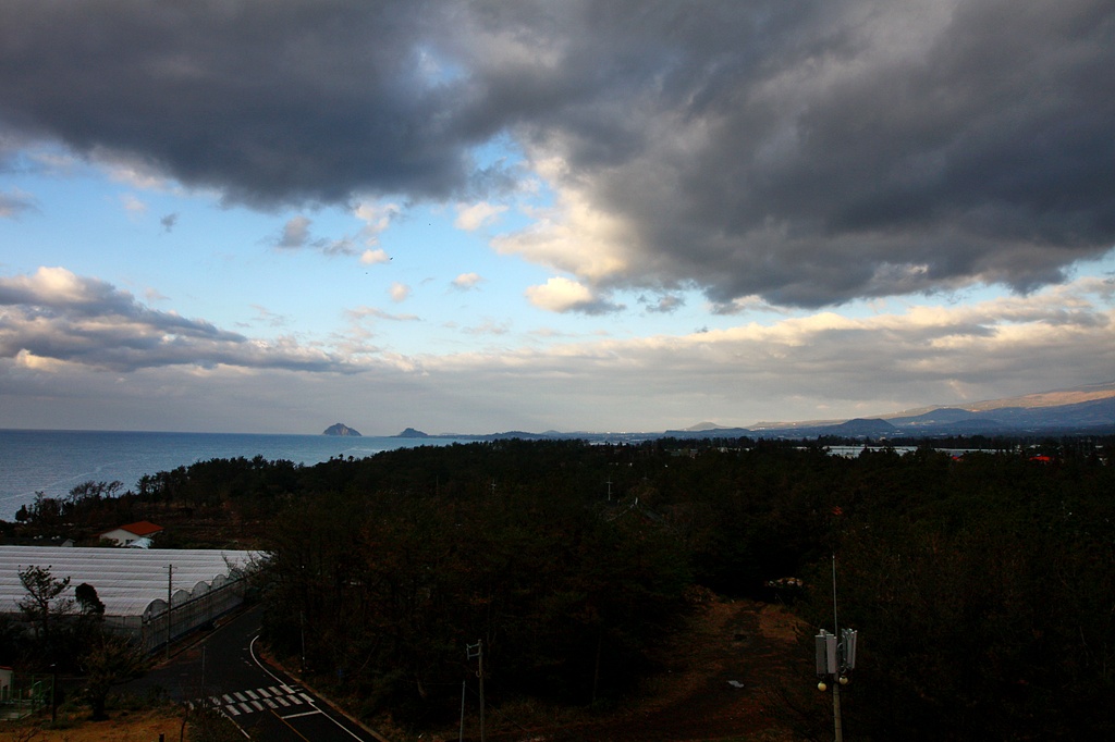 IMG_7982.JPG