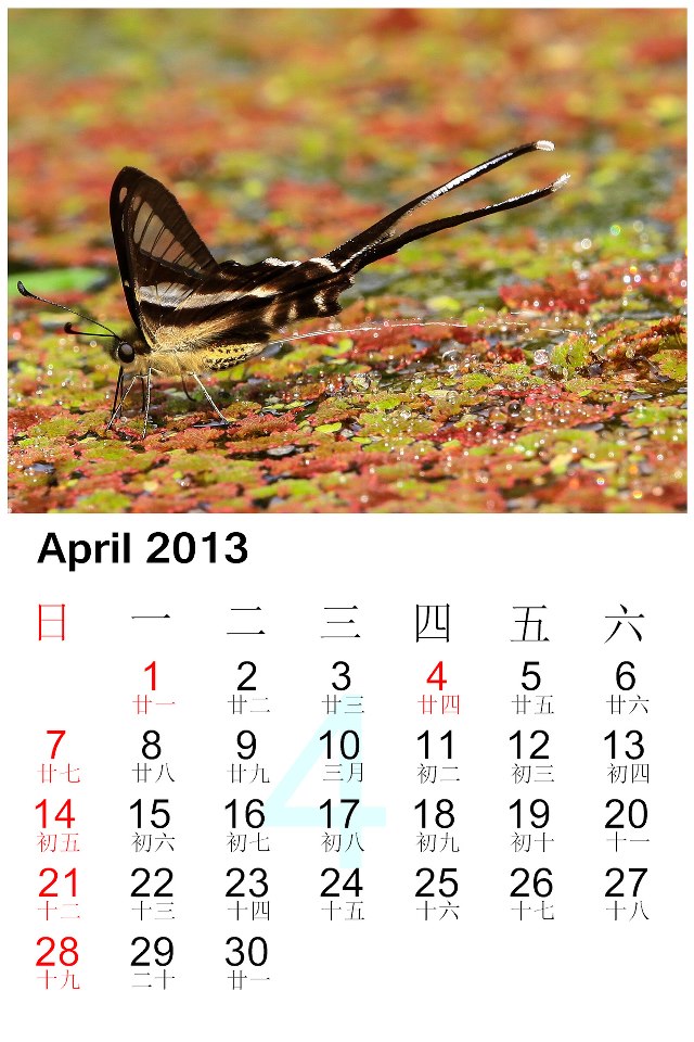 April.jpg