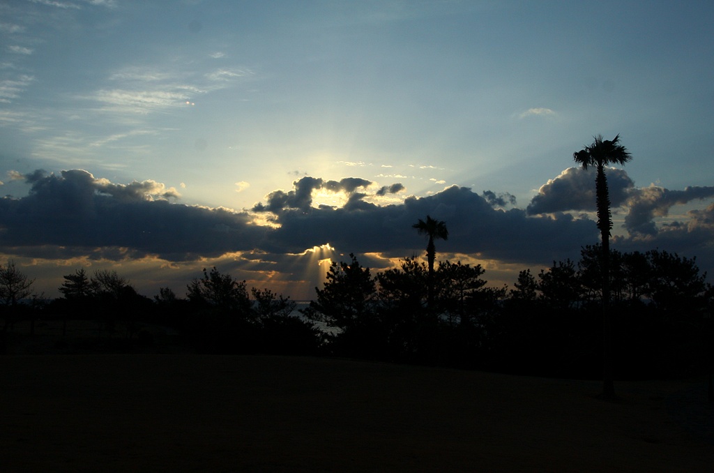 IMG_8371.JPG