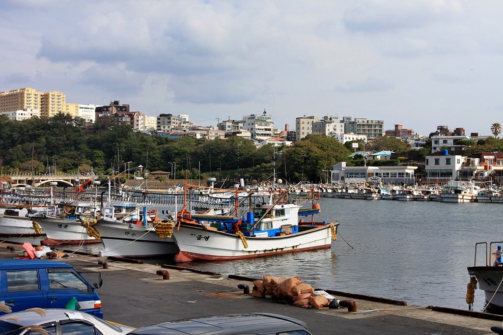IMG_8484.JPG