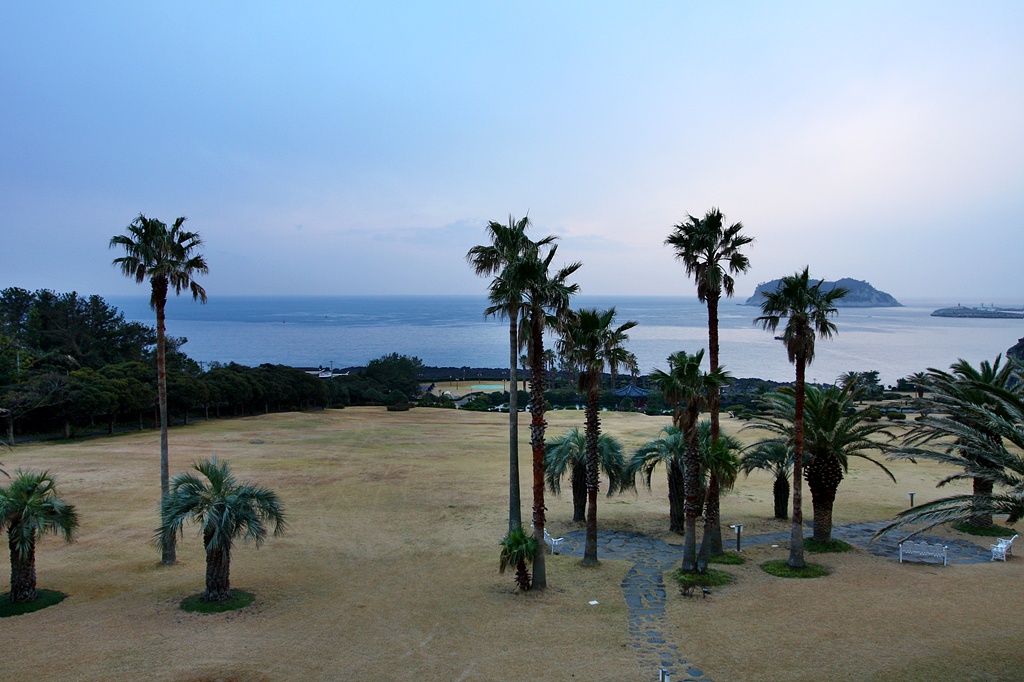IMG_8676.JPG