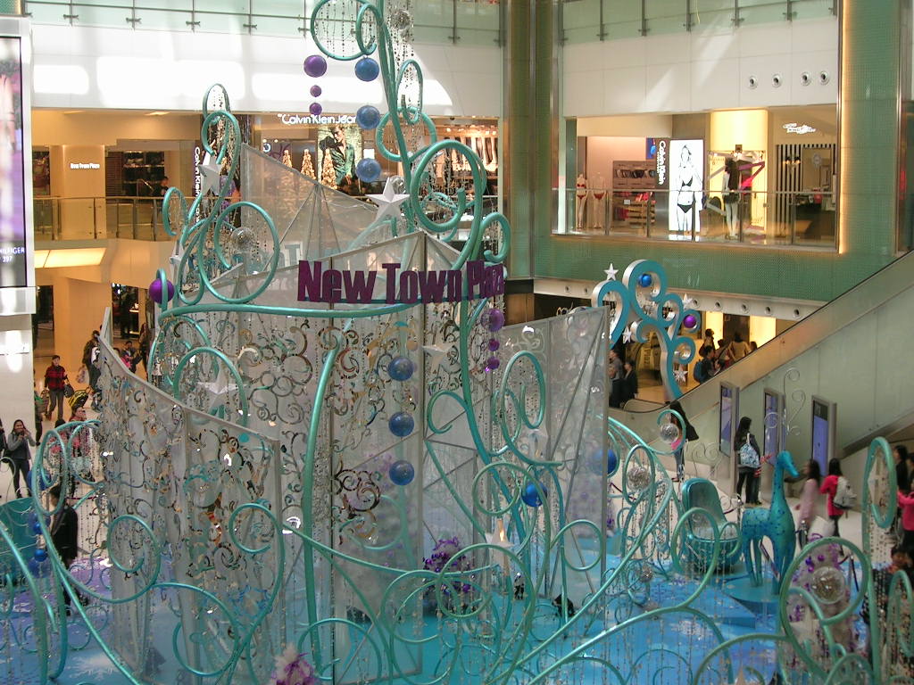 DSCN9355.JPG