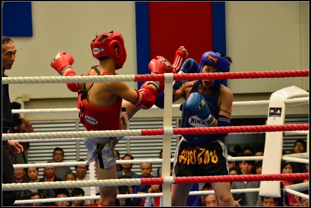DSC_2950.jpg