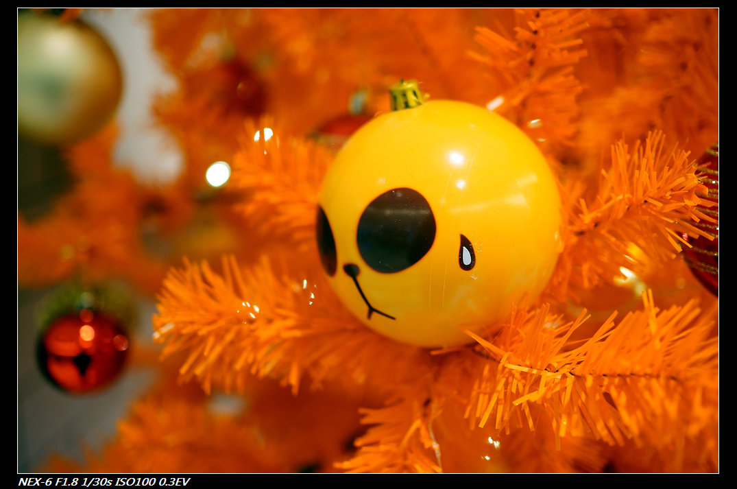 DSC00886.jpg