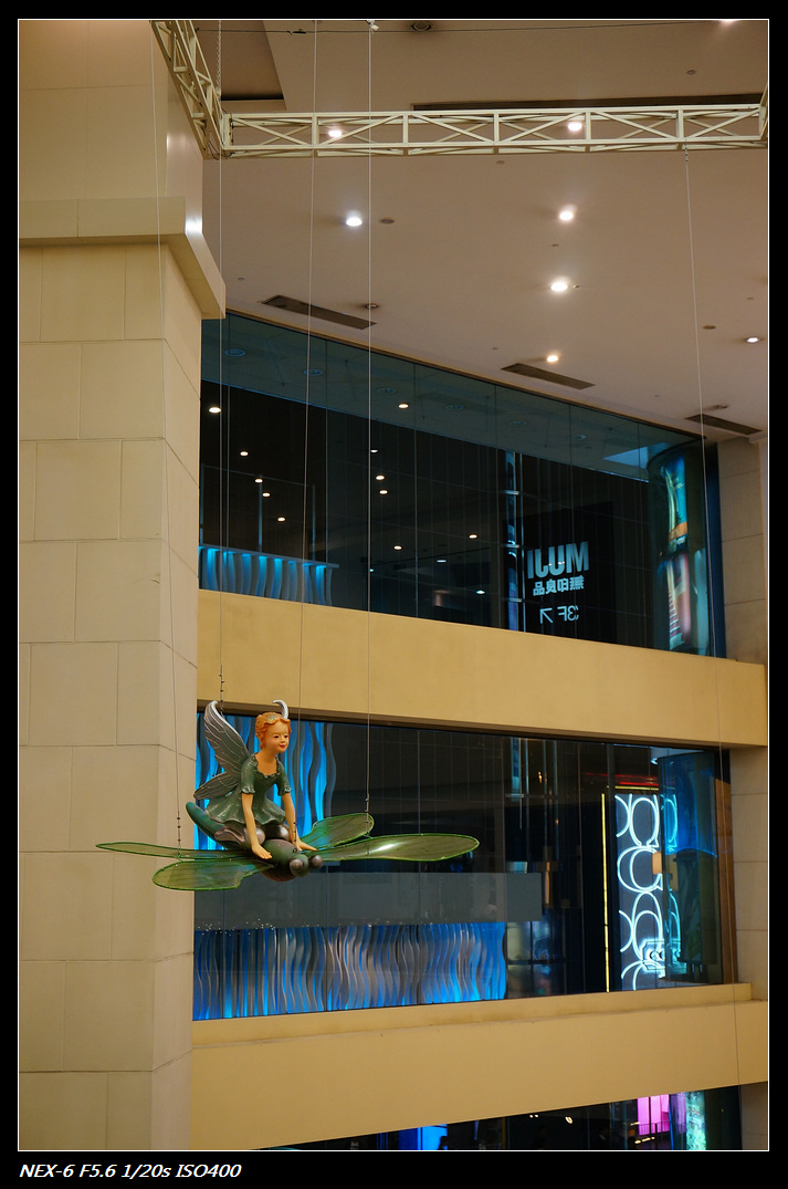DSC01116.jpg