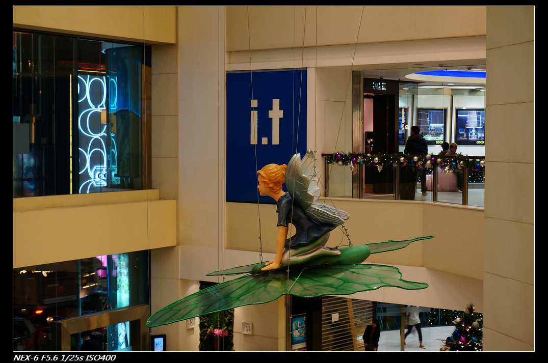 DSC01117.jpg