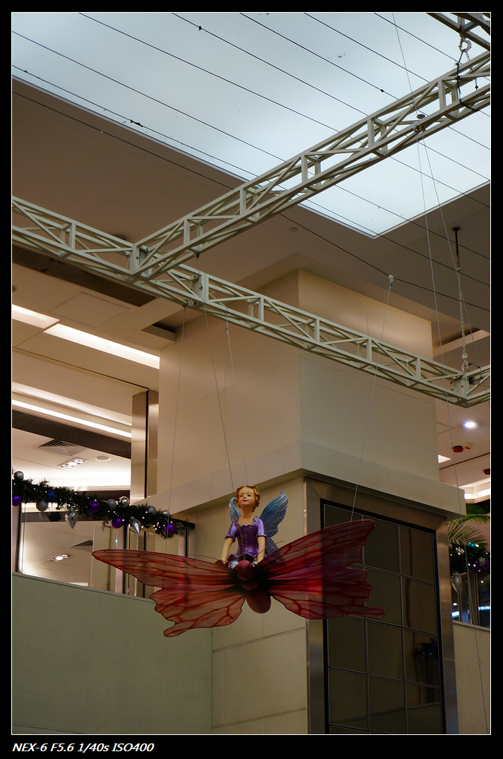 DSC01118.jpg