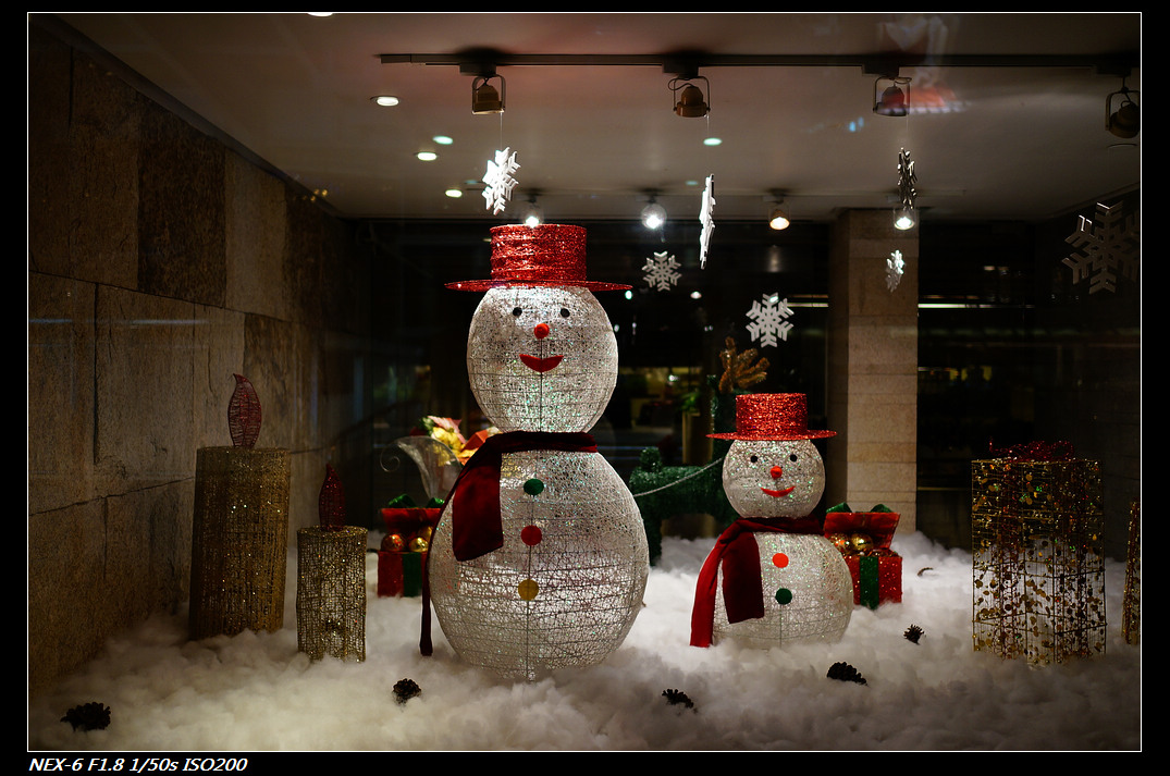 DSC01175.jpg